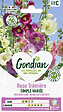 GONDIAN - Rose Trémière Simple Variée Gondian - vignette