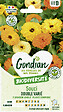 GONDIAN - Souci Pacific Beauty Varié - Fleurs doubles - 50cm - vignette