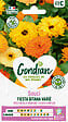 GONDIAN - Souci nain Double Fiesta Gitana - mélange coloris - 30cm - vignette