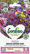 GONDIAN - Statice Sinuata Variée - Multicouleur - Bouquets secs - vignette