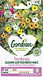 GONDIAN - Thunbergia Varié Gondian - vignette