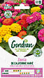 GONDIAN - Zinnia de Californie Varié Gondian - vignette