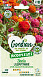 GONDIAN - Graines de zinnia Zinnia Lilliput Varié multicouleur 30cm - vignette