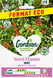 GONDIAN - Haricot d'Espagne Varié Gondian - vignette