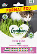 GONDIAN - Herbe à chat Cataire Orge - 0.5 kg - vignette