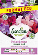 GONDIAN - Pois de Senteur Spencer Varié - Multicolore - Grimpeur - vignette