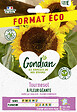 GONDIAN - Tournesol Géant - Helianthus annuus - Fleur Jaune 30cm - vignette