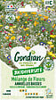 GONDIAN - Mélange de fleurs annuelles - Variété naine - Multicouleur - vignette