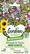 GONDIAN - Mélange de fleurs Jolies Fleurs d'Eté Gondian - vignette