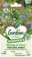 GONDIAN - Mélange de fleurs pour Gazon Japonais Gondian - vignette