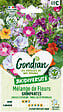 GONDIAN - Mélange de fleurs Fleurs Grimpantes Gondian - vignette