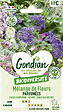 GONDIAN - Mélange de fleurs Fleurs Parfumées Gondian - vignette