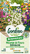 GONDIAN - Mélange de fleurs annuelles pour balcons - 30cm de hauteur - vignette