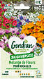 GONDIAN - Mélange de fleurs Fleurs Vivaces pour Rocaille Gondian - vignette