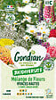 GONDIAN - Mélange de fleurs vivaces hautes - Gondian - 75cm - vignette