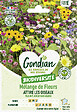 GONDIAN - Mélange de fleurs - Attire les Oiseaux - Gondian - 50cm - vignette