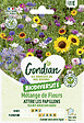 GONDIAN - Mélange de fleurs Attire les Papillons - 500 g - Extérieur - vignette