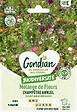 GONDIAN - Mélange fleurs annuelles - Coin de prairie - Facile - vignette