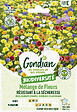 GONDIAN - Mélange fleurs terrain sec Gondian - Graines florales - 500g - vignette