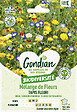 GONDIAN - Mélange de fleurs Coin de Rocaille Gondian - vignette