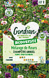 GONDIAN - Mélange de fleurs Coin de Prairie - 6 kg - 30m² - vignette