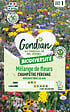 GONDIAN - Mélange de fleurs vivaces Pérennes - 30m² - vignette