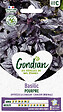 GONDIAN - Basilic Pourpre Gondian - vignette
