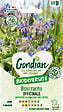 GONDIAN - Bourrache Officinale Gondian - vignette