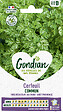 GONDIAN - Cerfeuil Commun Gondian - vignette