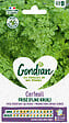 GONDIAN - Cerfeuil frisé - variété Frisé Gondian - sachet de semences - vignette