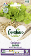 GONDIAN - Coriandre cultivée - Graines aromatiques - Gondian - 3g - vignette