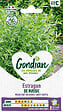 GONDIAN - Estragon de Russie - Plante aromatique - Résistant au froid - vignette