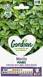 GONDIAN - Menthe Poivrée Gondian - Vivace - 50cm - vignette