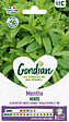 GONDIAN - Menthe Verte Gondian - vignette