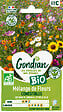 GONDIAN - Mélange de fleurs comestibles - Bio - 6g - vignette