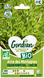 GONDIAN - Ache des Montagnes Bio Gondian - vignette