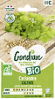 GONDIAN - Graines potagères bio - Coriandre cultivée - 0.5 kg - vignette
