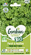 GONDIAN - Persil à feuilles Frisé Vert Foncé Bio Gondian - vignette