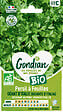 GONDIAN - Persil à feuilles Gigante d'Italia Géant d Italie Bio Gondian - vignette