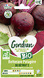 GONDIAN - Betterave potagère Détroit 2 Bio - Sphérique rouge - Précoce - vignette