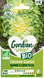 GONDIAN - Chicorée Blonde à Cœur Plein Bio - Légume - Variété rustique - vignette