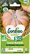 GONDIAN - Courge graine Muscade d Hiver de Provence Bio - vignette