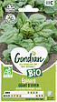 GONDIAN - Epinard Géant d'Hiver Bio Gondian - vignette