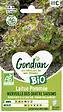 GONDIAN - Laitue Merveille des Quatre Saisons Bio Gondian - vignette