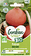 GONDIAN - Potimarron Uchiki Kuri Bio - Sachet de graines - 0,5 kg - vignette