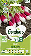 GONDIAN - Radis de 18 Jours Bio Gondian - vignette
