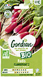 GONDIAN - Graines potagères bio - Radis Flamboyant 2 - 5g - vignette