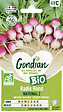 GONDIAN - Radis National 2 Bio Gondian - vignette