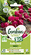 GONDIAN - Graines de radis Saxa 2 Bio - 5 g - vignette