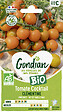 GONDIAN - Tomate Cocktail Clémentine Bio - Orange - 5g - vignette